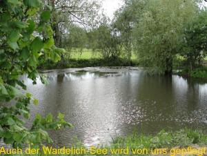 1 Waidelich See