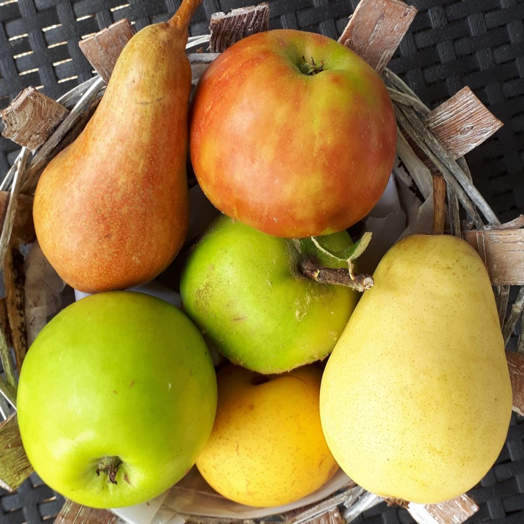 Obst und Gartenbauverein Wurmberg e.V.